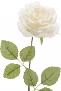 Ramo di rosa innevata bianca