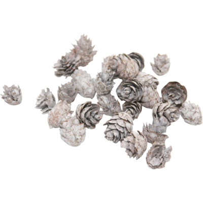 Micro pigne innevate 200gr