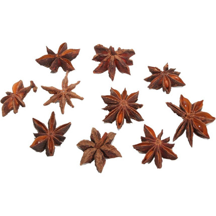 Anice stellata Anice stellata