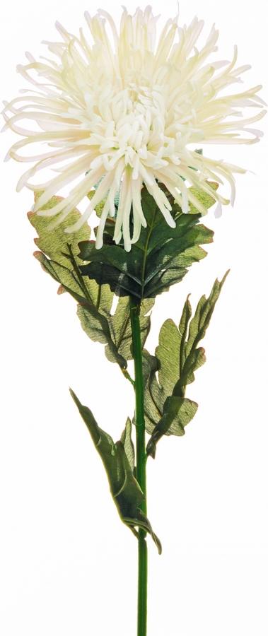 Mandy's 12 Fiori Finti Di Crisantemo Rossi In Seta – Artificiali, Altezza 30 Cm, Per Decorazioni Casa E Matrimoni