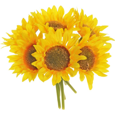 Mazzo di girasole