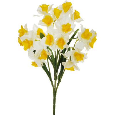 mazzo 7 narcisi crema