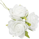 Rosa tessuto