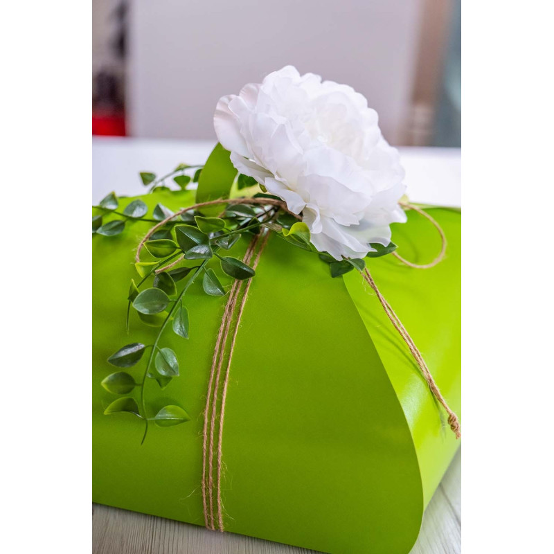 Scatola gala per colomba