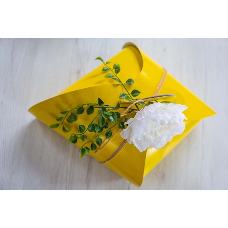 Scatola gala per colomba