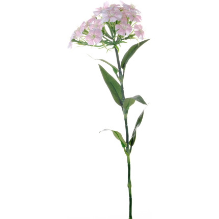 Ramo garofani rosa
