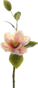 Ramo magnolia rosa chiaro