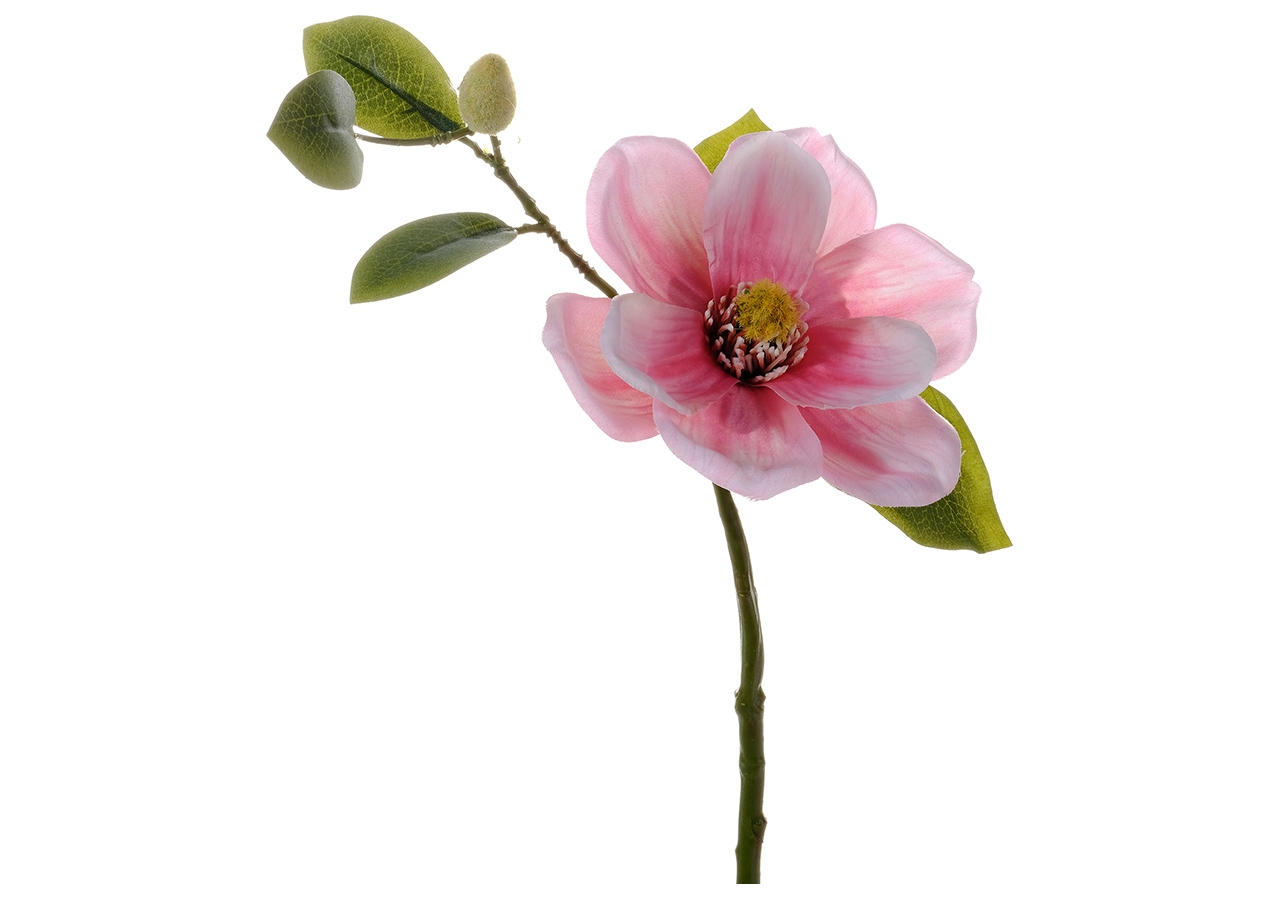 Ramo magnolia rosa