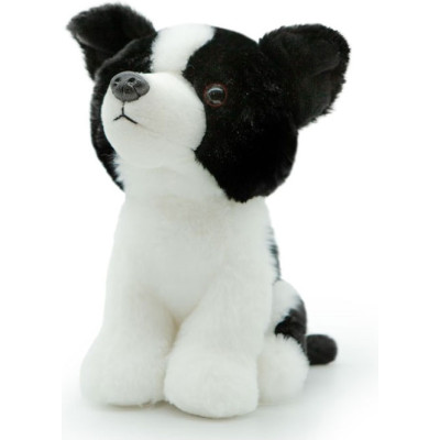 Morbidello border collie