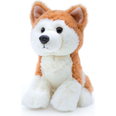 Morbidello cagnolino akita