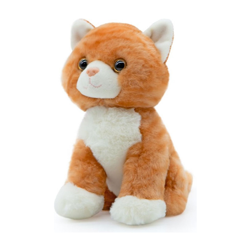 Morbidello gatto tigrato