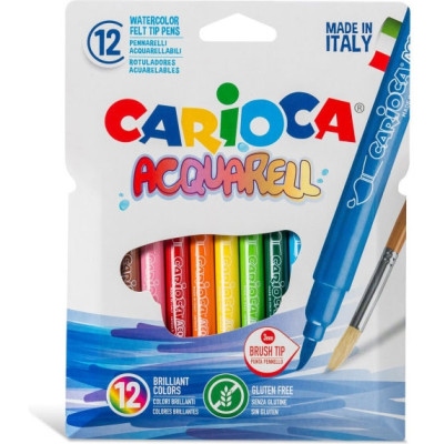 Pennarelli acquarellabili (12 pezzi