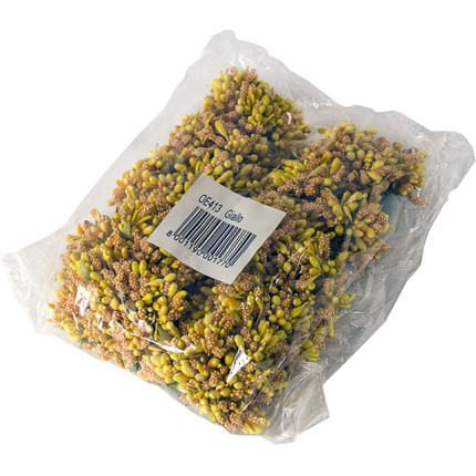 Pistilli e nebbiolina Pistilli e nebbiolina