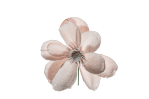 Pick magnolia innevata rosa