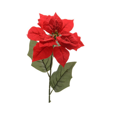 Stella di natale rossa