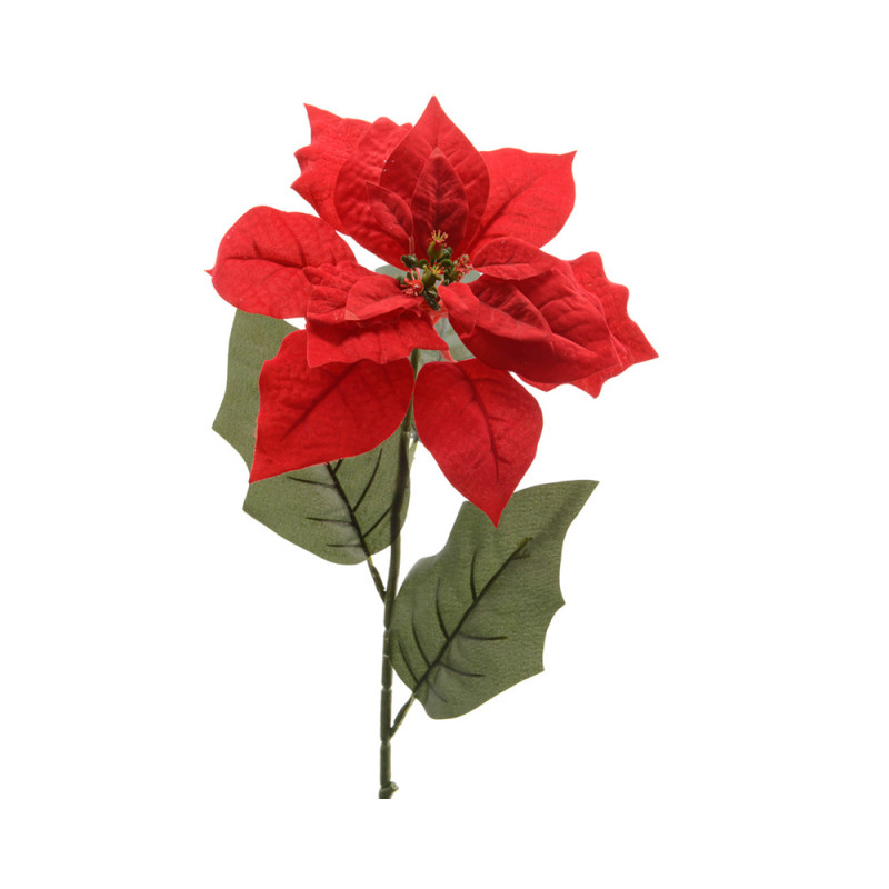 Stella di natale rossa