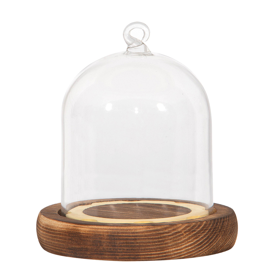 Campana in vetro con base legno 8