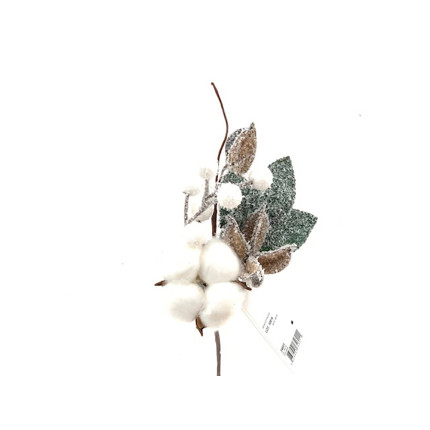Ramo di fiori di cotone