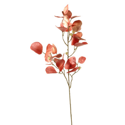 Ramo di eucalipto rosa scuro 81