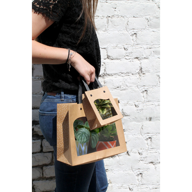 Sacchetto delicatessen. Vendita a 10 pezzi. Disponibili in tre colori