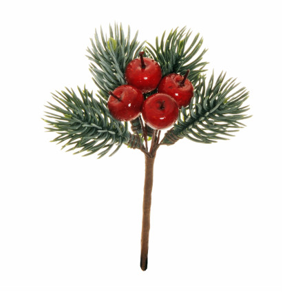 Pick rametto pino con bacche rosse