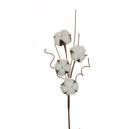 Fiore cotone bianco 43,5cm Fiore cotone bianco 43,5cm