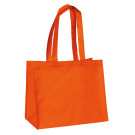 Borsa in TNT plastificata