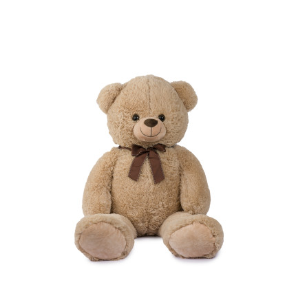 Orso con fiocco e t-shirt