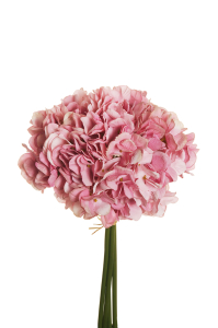 Bouquet ortensie rosa