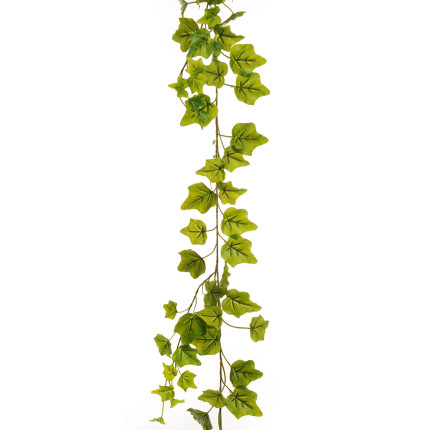 Ghirlanda di edera verde:Incartare Ghirlanda di edera verde:Incartare