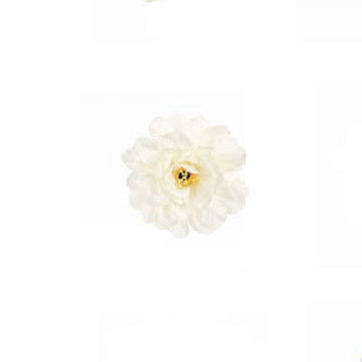 Pick peonia bianca