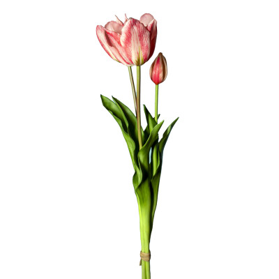 Mazzo 2 tulipani rosa e bocciolo
