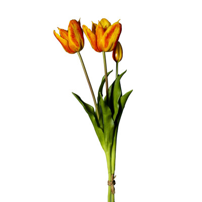 Mazzo 2 tulipani arancio e bocciolo