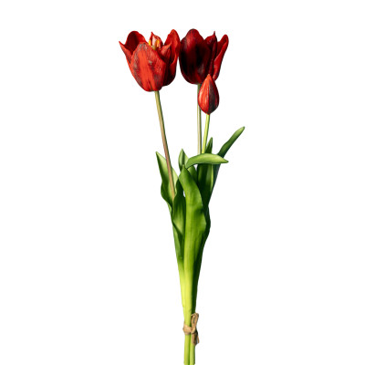 Mazzo 2 tulipani rossi e bocciolo