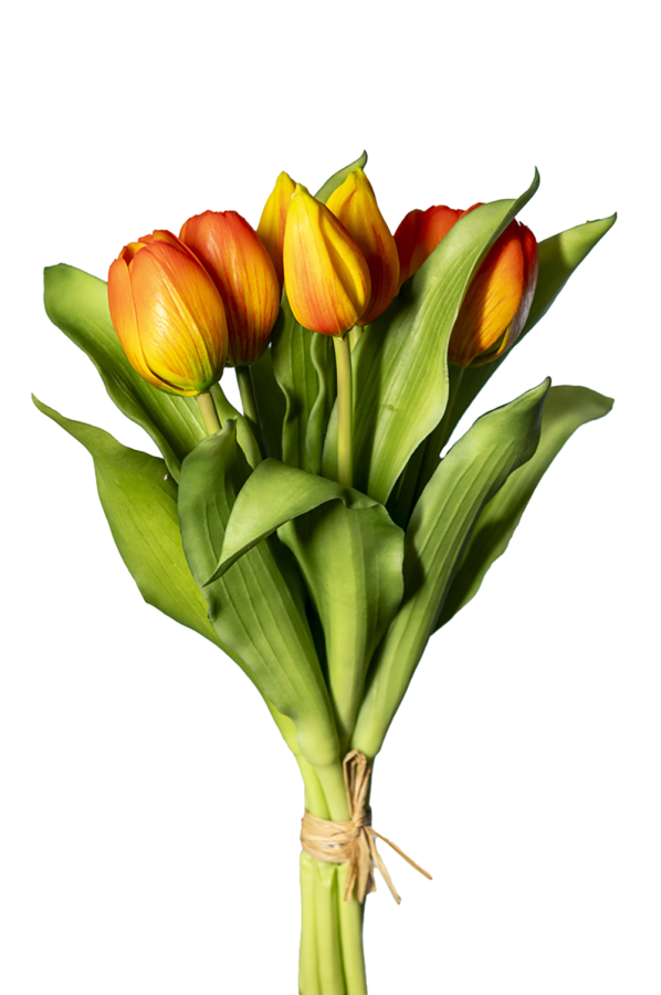 Mazzo tulipano arancione