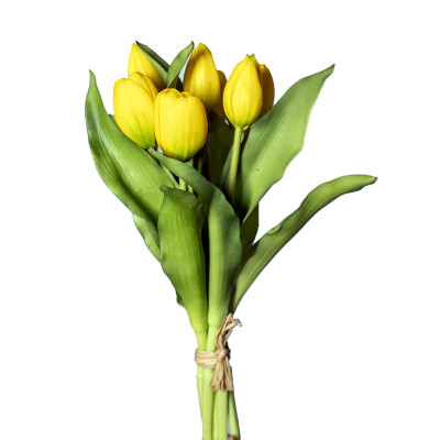 Mazzo tulipani gialli