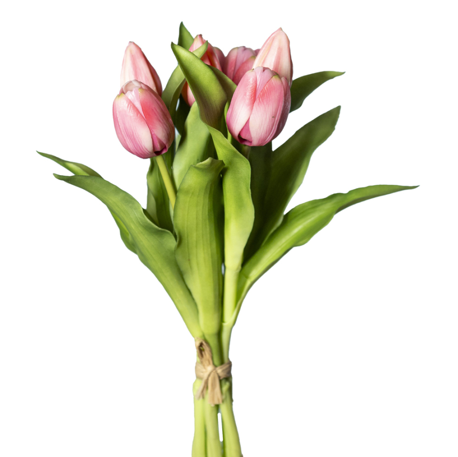 Mazzo tulipani malva