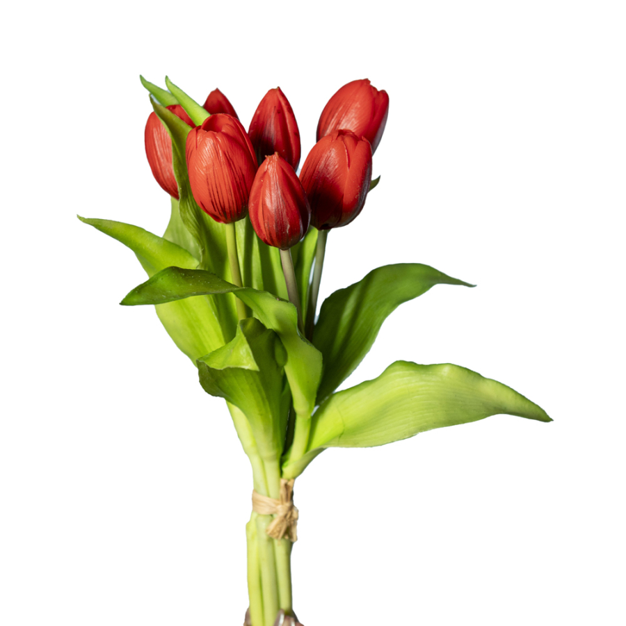 Mazzo tulipani rossi