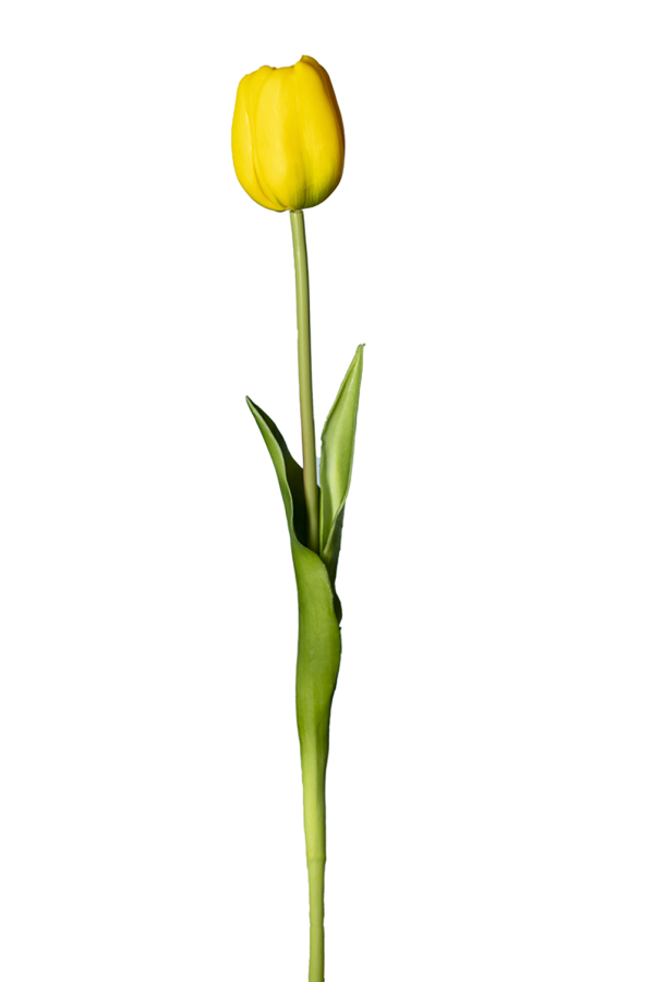 10 Tulipani Finti Giallo Chiaro – Fiori Artificiali In PU Realistici Al Tatto – Decorazioni Primaverili - 4