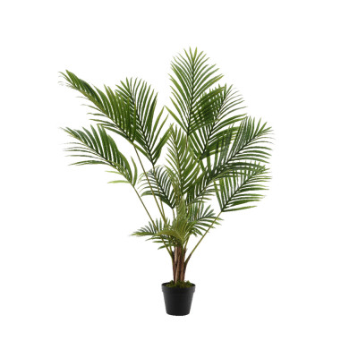 Pianta di palma con vaso