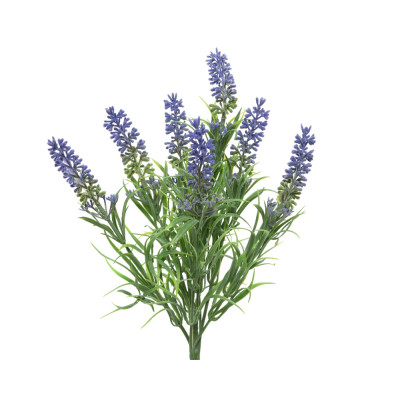 Ramo di lavanda