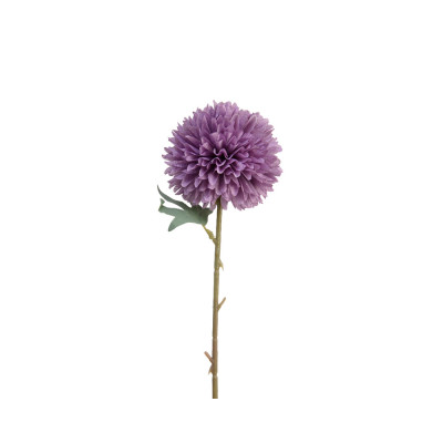 Ortensia viola con stelo