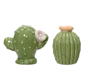 Cactus in porcellana