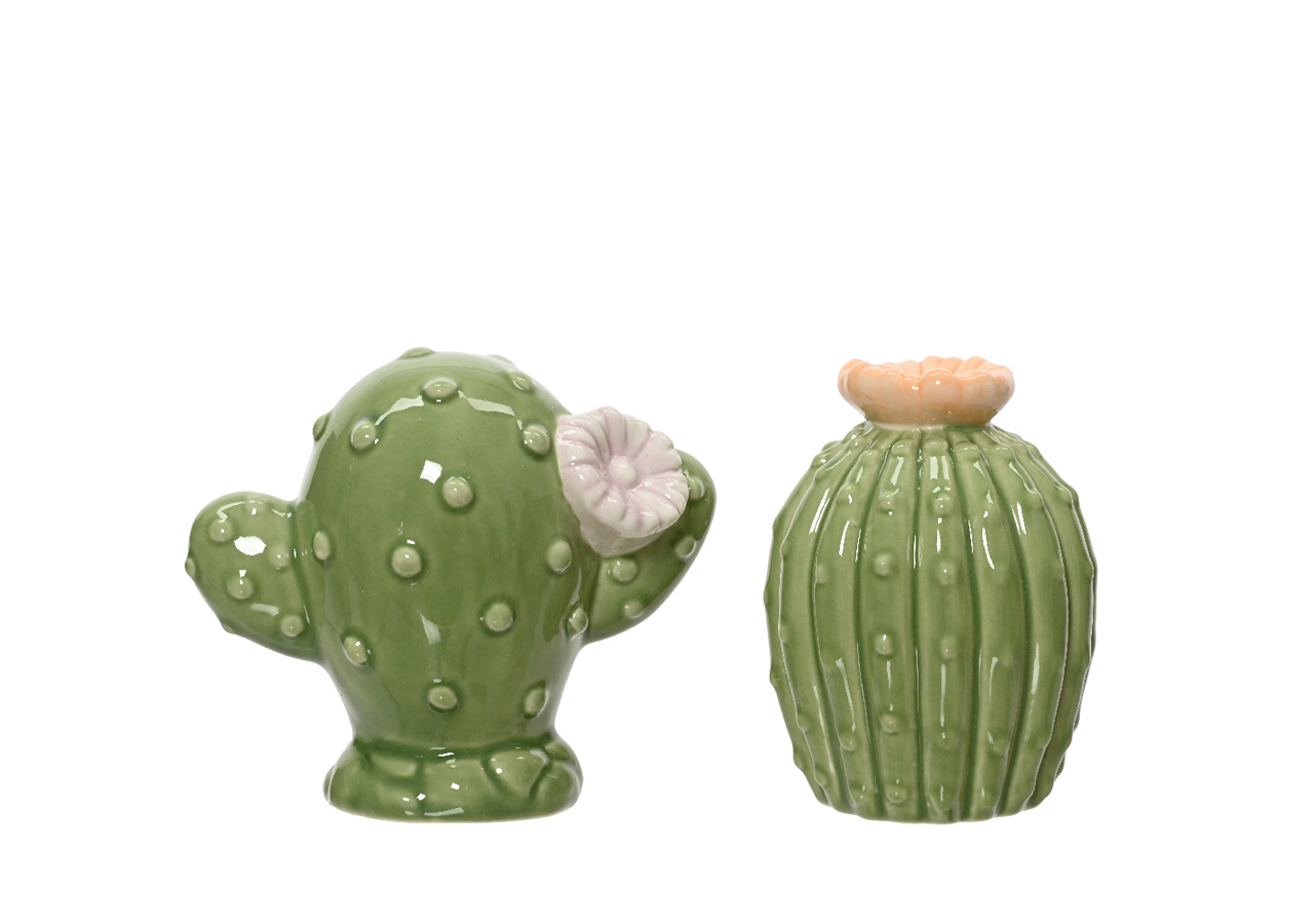 Cactus in porcellana