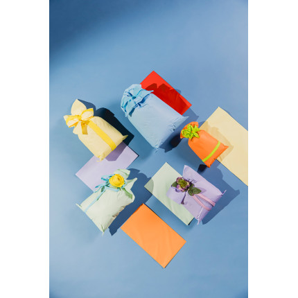 Buste regalo in polipropilene perla