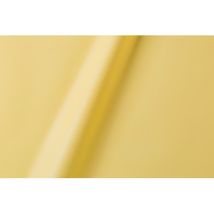 Buste regalo in polipropilene perla (50 pezzi)Incartare