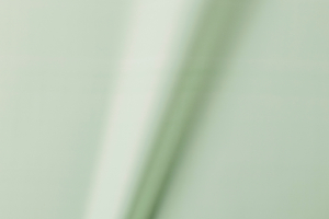 Buste regalo in polipropilene perla (50 pezzi)Incartare