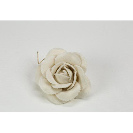 Rosa in velluto Rosa in velluto