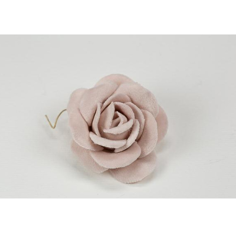 Rosa in velluto