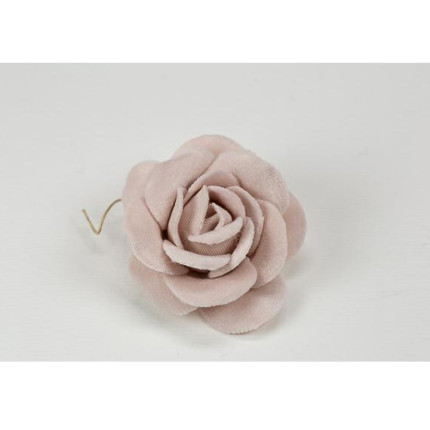 Rosa in velluto Rosa in velluto